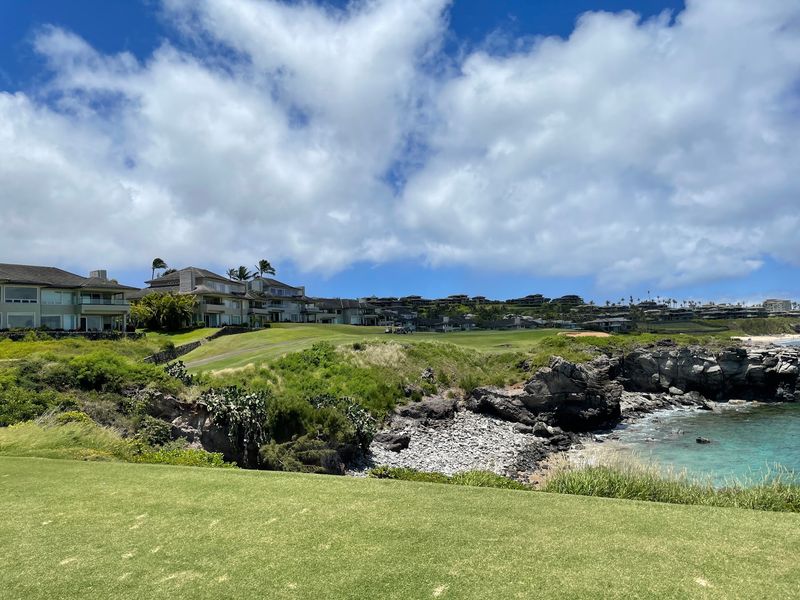 Palmer's 1975 Coastal Masterpiece