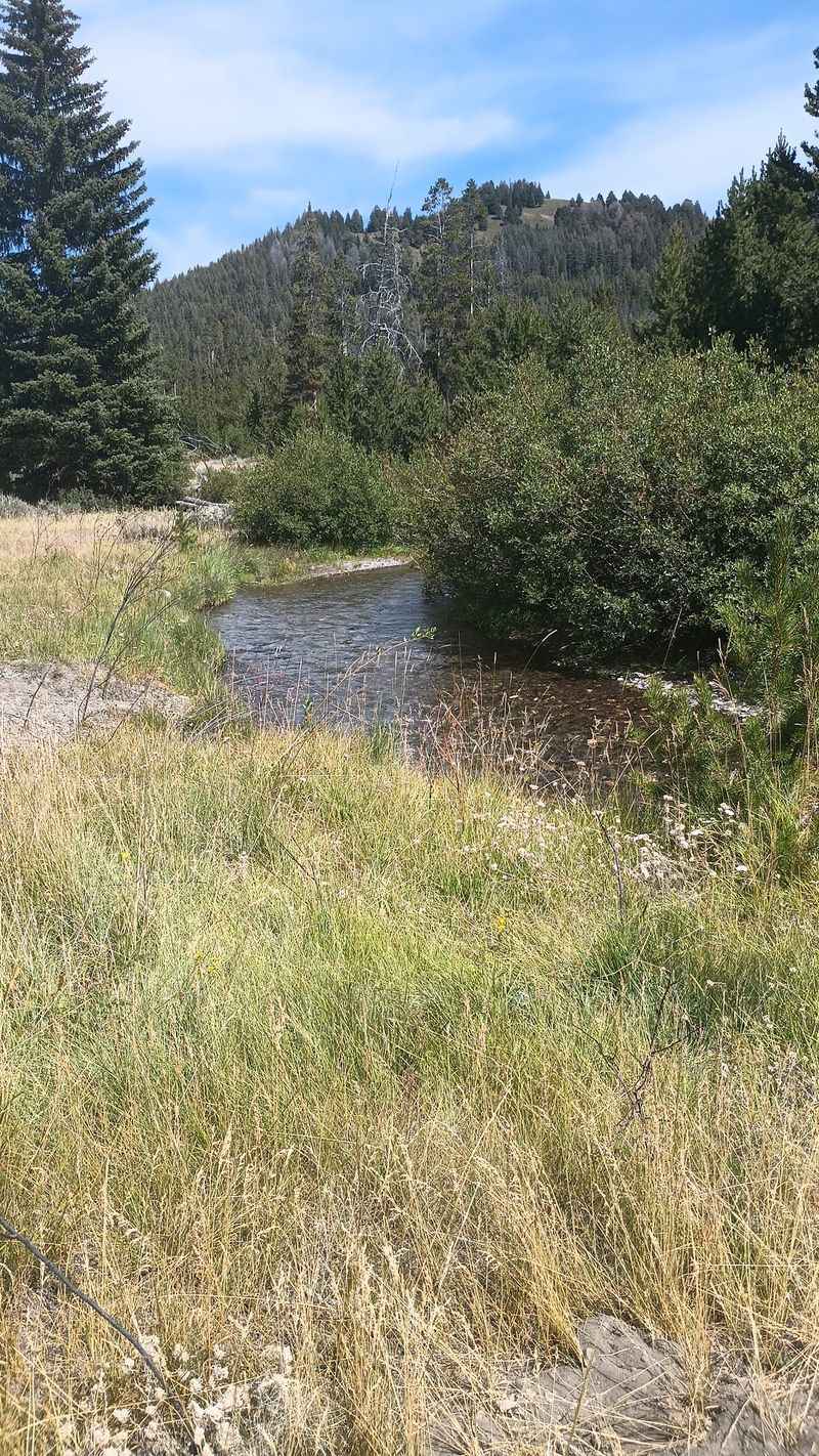 Modern Rockhounding Maps Put Pole Creek On Collectors' Radar