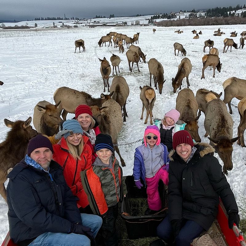 A Snowy Meadow Where the Elk Come to You