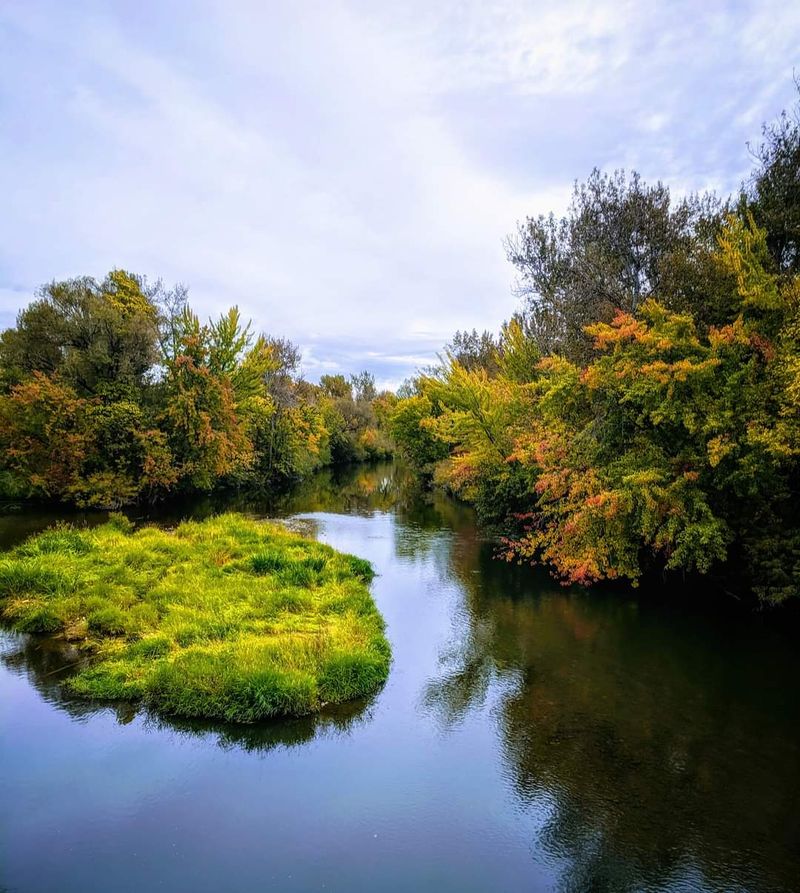 This Idaho Island State Park Has A Roomy Lake Beach That Stays Calm Midweek - Decor Hint An Island Ringed By The Boise River
