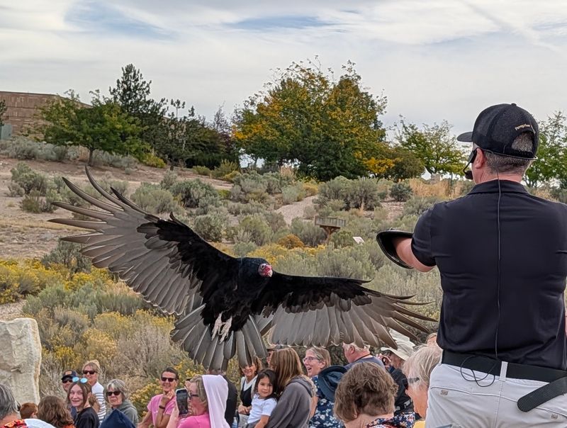 A Raptor Haven Above Boise