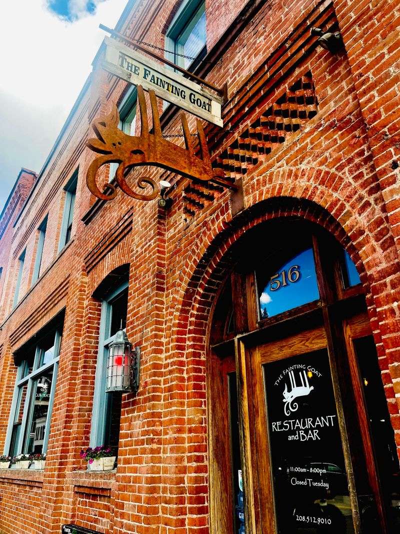 Finding The Fainting Goat On Bank Street