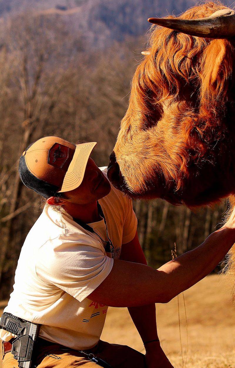 This North Carolina Farm Lets You Cuddle Fluffy Highland Cows For A Gentle Fall Escape - Decor Hint This Is A Working Farm Experience, Not A Traditional Petting Zoo