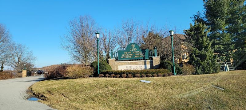 This Kentucky City Is Home To An Equine Hospital Where Two Of The World'S Four Veterinarian Farriers Work - Decor Hint A Horse Hospital With A Nickname To Live Up To