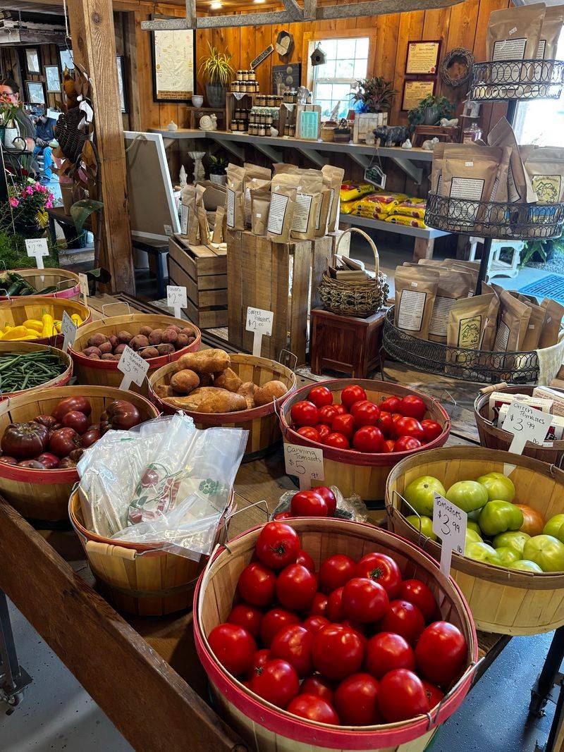 This Kentucky Farm Makes Homemade Apple Slushies And Has Animals Waiting Outside - Decor Hint Homemade Apple Cider Slushies Rule Everything Here
