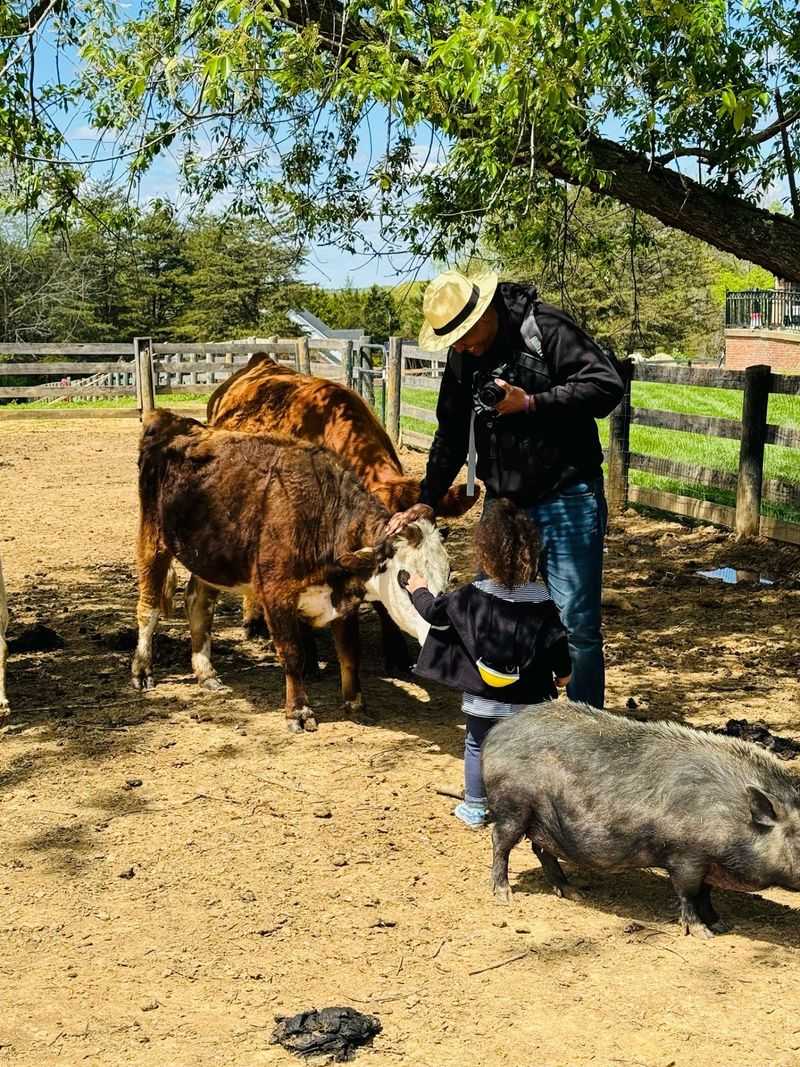 A Country Refuge Close Enough For A Weeknight Visit