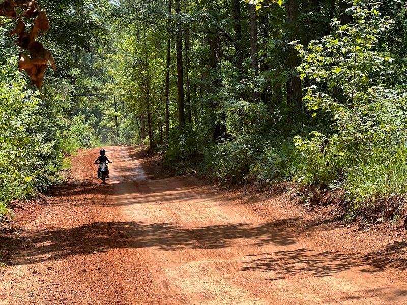 Five Thousand Acres Of Red Clay Freedom
