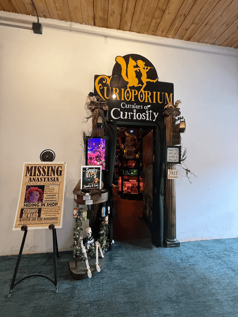 Curiosity Starts Before You Even Step Inside