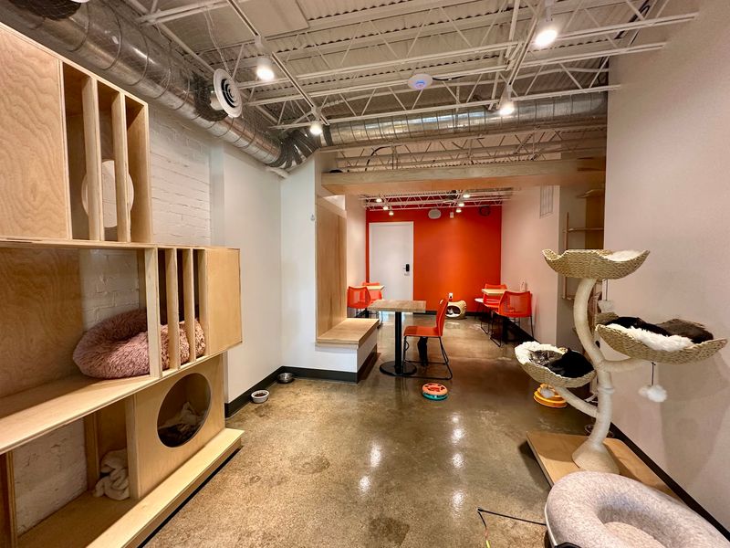 A Dodge Street Storefront With Two Very Different Rooms