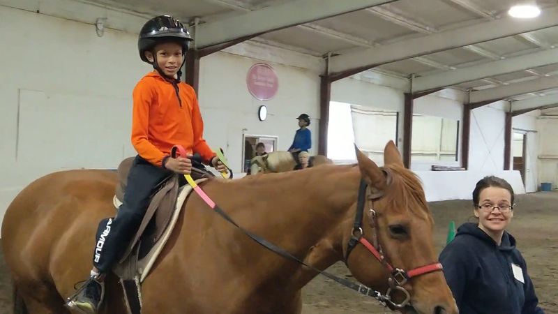 A Horse Barn With a Bigger Purpose on the Edge of Gretna