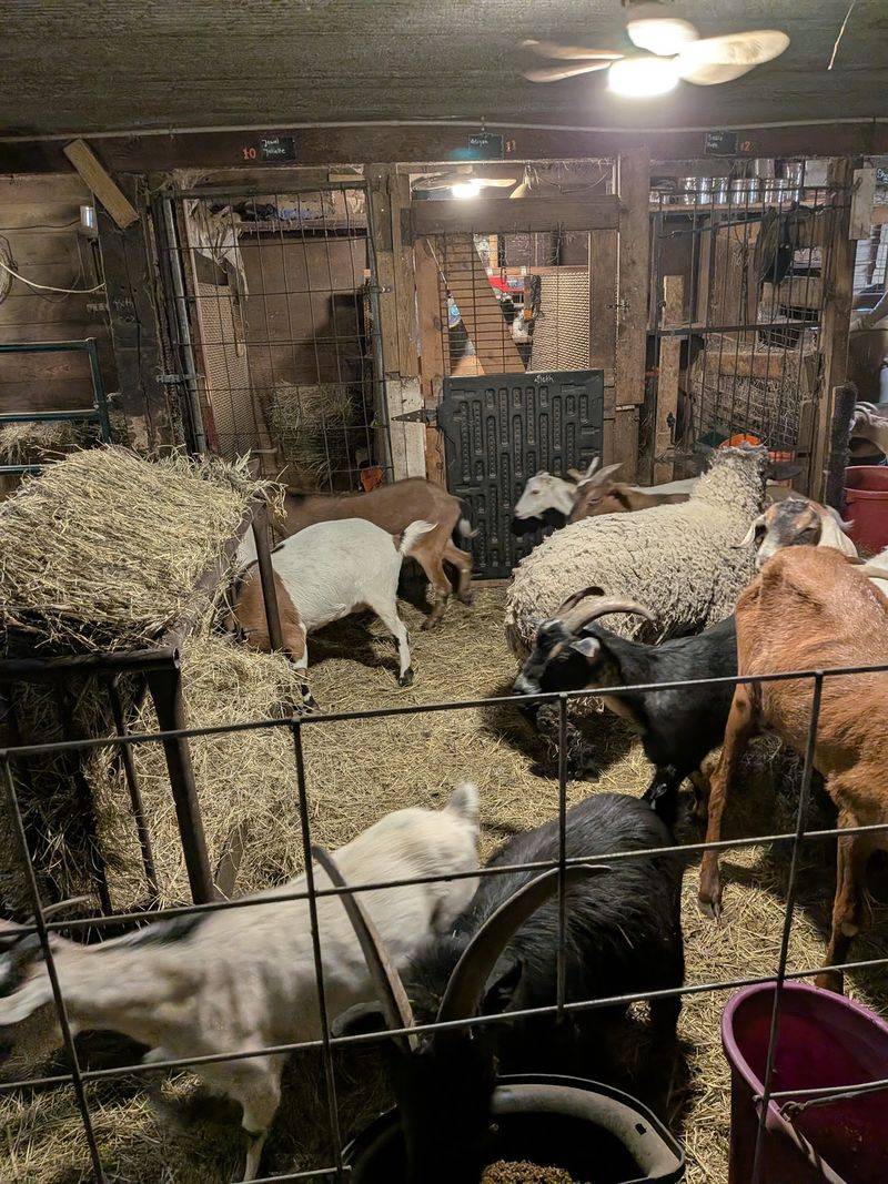 A Farm at the End of a Gage County Lane