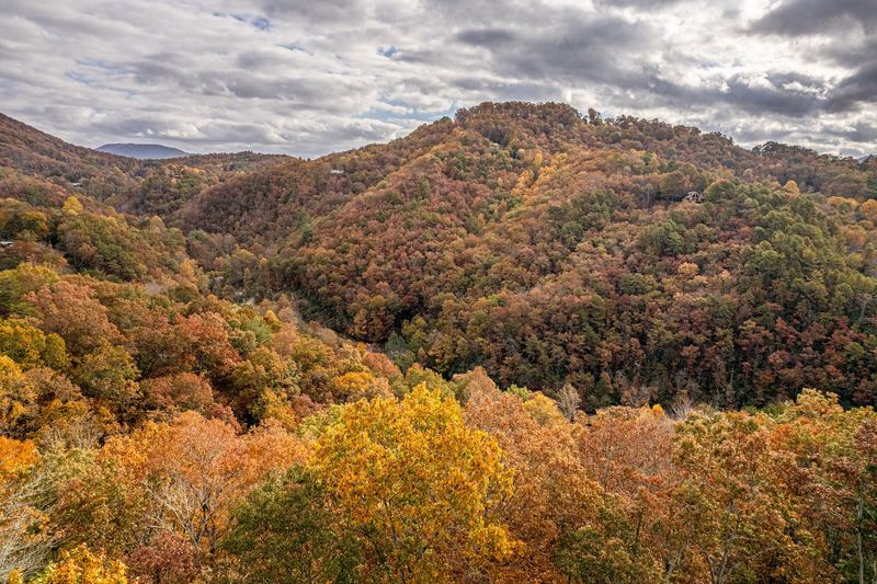 This New 65-Acre North Carolina All-Inclusive National-Park Resort Is Hiding A Whole Smokies Adventure - Decor Hint More Than 65 Private Acres Sit Right Beside Great Smoky Mountains National Park