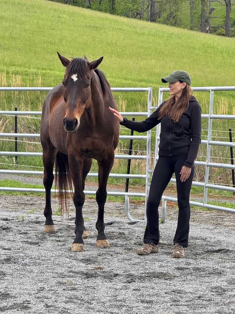 Ninety Minutes Here Is All About Slowing Down With The Horses
