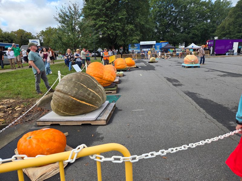 The Giant Pumpkins That Turn Downtown Elkin Into A Fall Spectacle