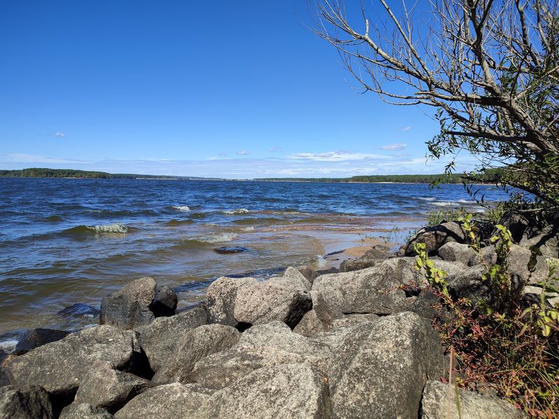 Explore Roughly 180 Miles Of Wooded Shoreline