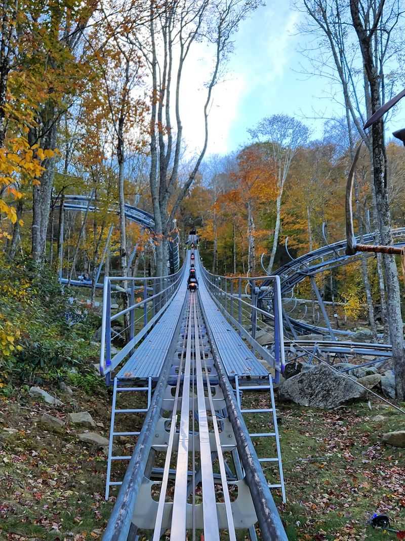 Take Control Of Your Own Speed As You Race Through The Trees