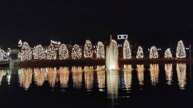 It All Started With Just Nine Decorated Trees Back In 1956