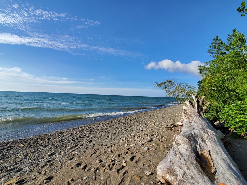 Six Hundred Seventy Acres Of Quiet Shoreline