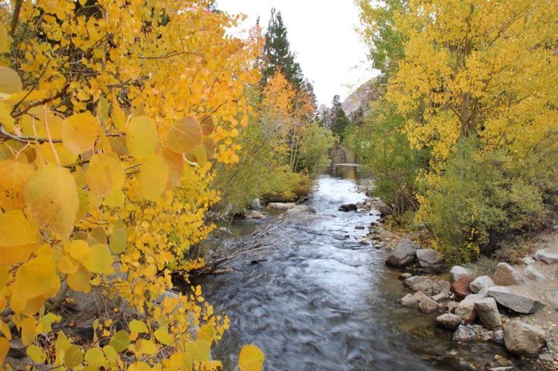 Bishop Creek Canyon Is The Main Event