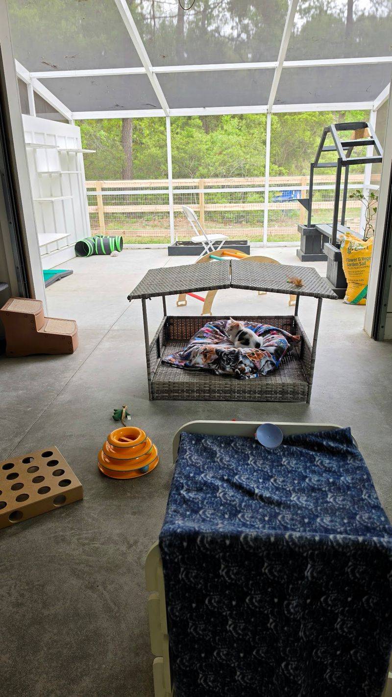 This South Carolina Cage-Free Sanctuary Gives Rescued Animals The Fresh Start They Deserve - Decor Hint A Promise To Rewrite Futures