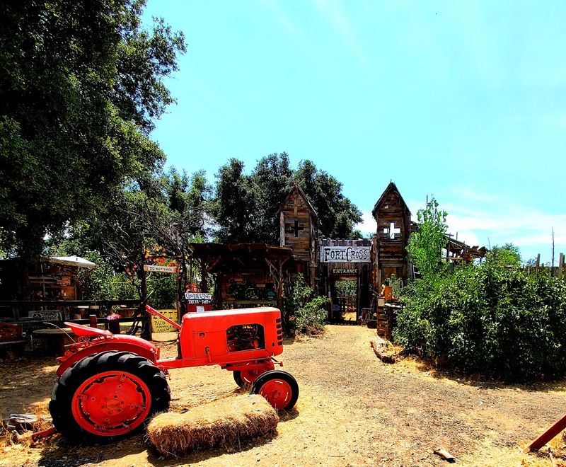Go Apple Picking At Julian Farm And Orchard