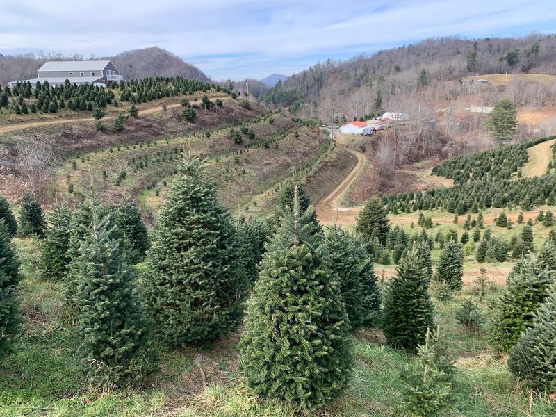 This Tiny North Carolina Mountain Town Sits Above 3,000 Feet And Turns Gorgeous Every Fall - Decor Hint See What Fall Looks Like From More Than 3,000 Feet Up