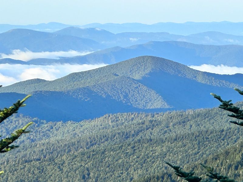 Stand In The Shadow Of Mount Mitchell