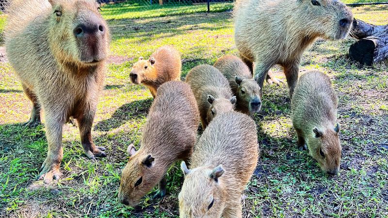 A Backyard Preserve That Grew Into Something Bigger