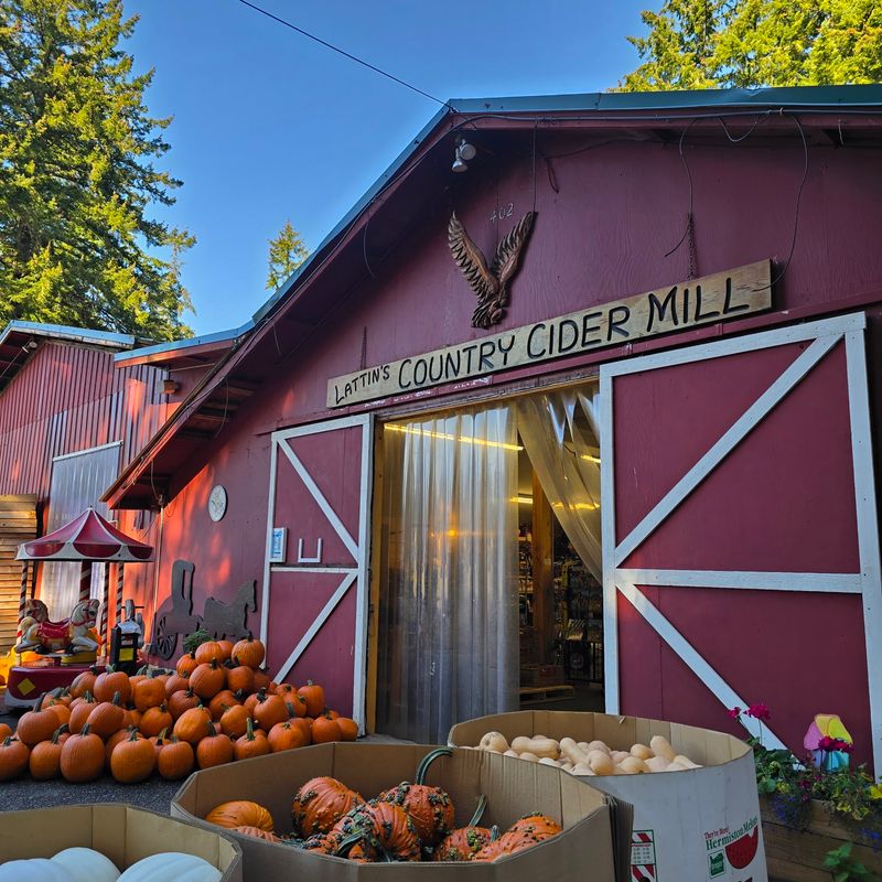 Apple Fritters Worth The Drive
