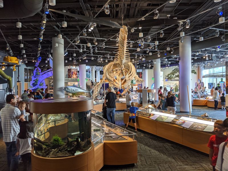 Stick Around Until 5 P.M. Because BugFest Is Throwing A Birthday Party