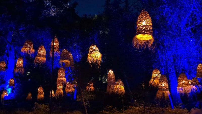 After Dark, The Garden Changes Character