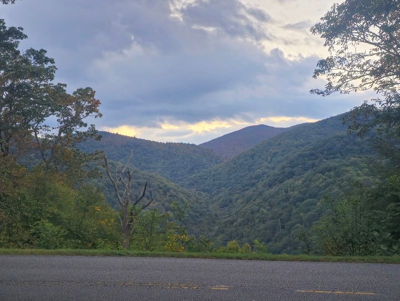 Thousands Of Monarch Butterflies Are Passing Through North Carolina’s Mountains This Fall - Decor Hint Watch The Sky For Monarchs Riding Invisible Mountain Air Currents