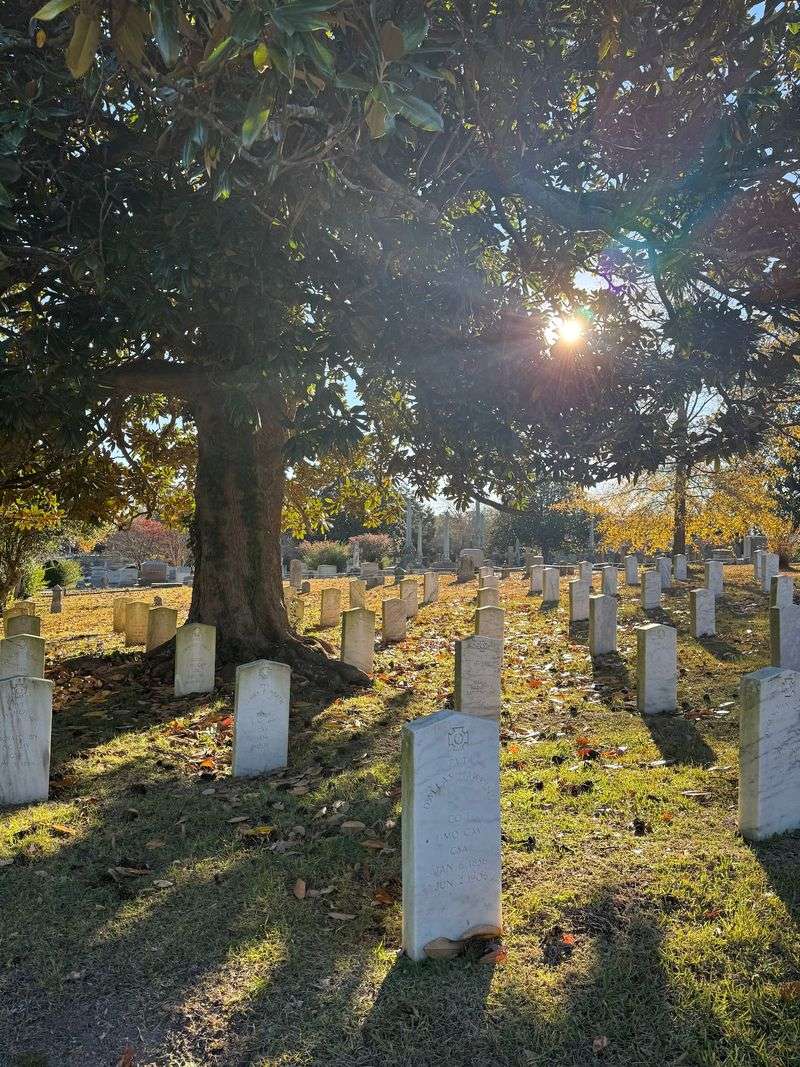 This North Carolina Cemetery Is Often Called One Of The State’s Most Beautiful - Decor Hint Look Closely Because The Symbols Carved Into The Stones Tell Their Own Stories