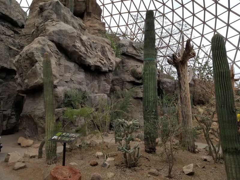 Plants Rescued, Rare, and Ridiculously Old