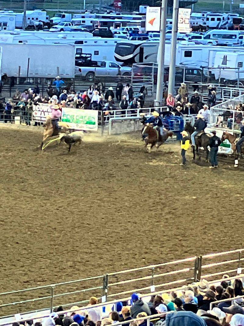 Livestock Shows And 4-H Exhibits Keep The Fair’s Agricultural Roots Front And Center