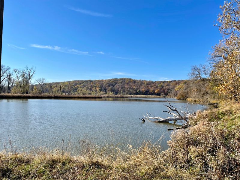 Nearly A Mile Of Boardwalk Through This Nebraska Forest Ends At A Marsh Lookout - Decor Hint Nebraska Seasons on the Same Mile