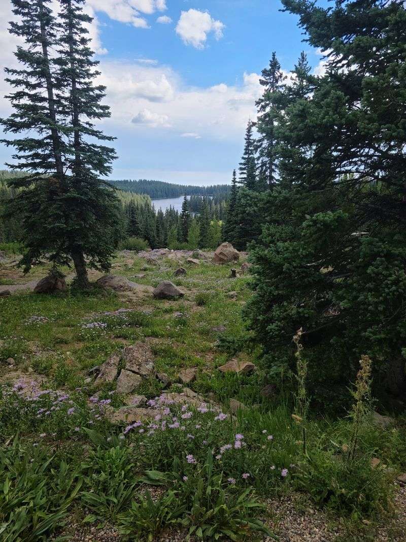 Overlooks Worth The Detour
