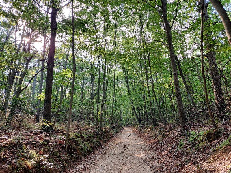 10 Haunted Roads In New York Locals Think Twice About Driving After Dark - Decor Hint Mount Misery Road, West Hills