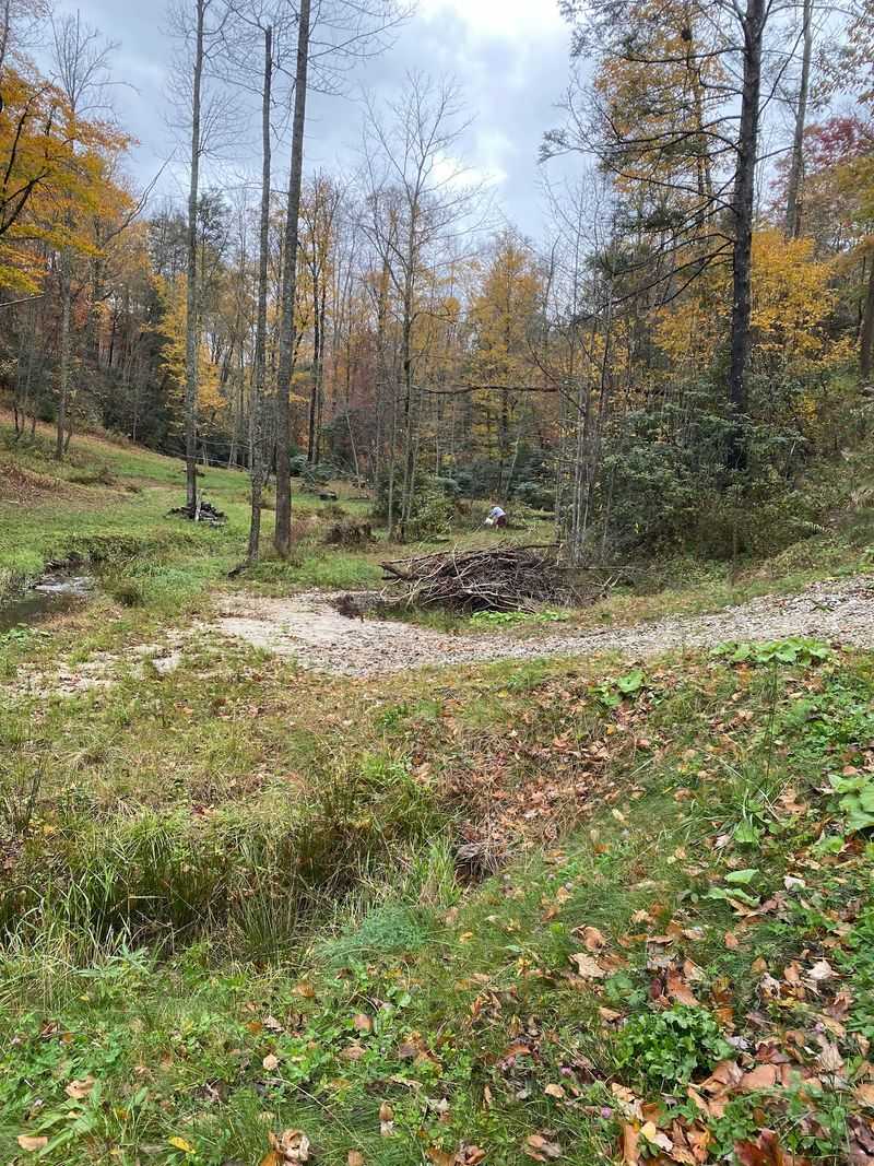 This Tiny North Carolina Mountain Town Sits Above 3,000 Feet And Turns Gorgeous Every Fall - Decor Hint Pair A Leaf-Peeping Day With Nearby Trails And Scenic Stops