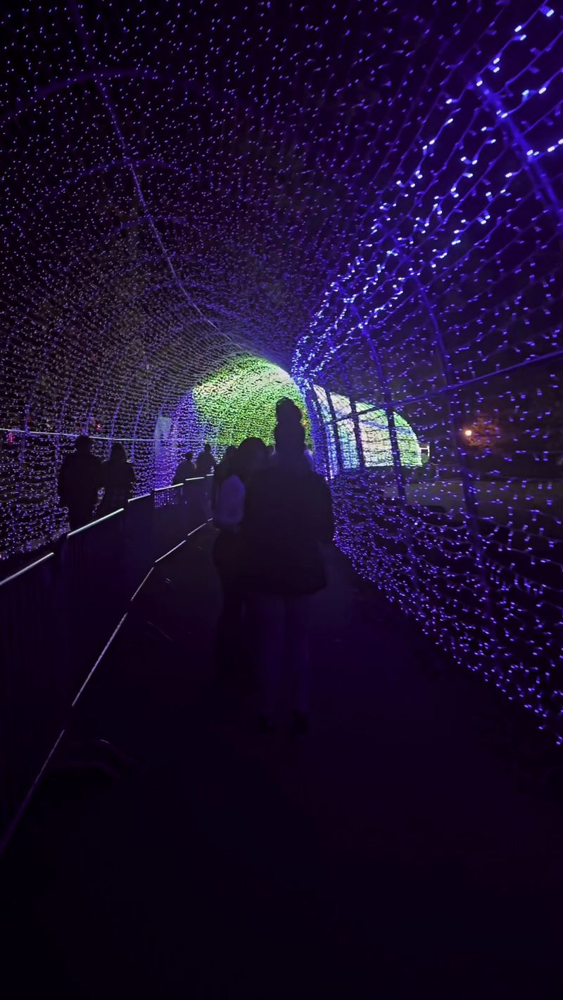 Skip Ahead With The Get To The Glow Fast Pass