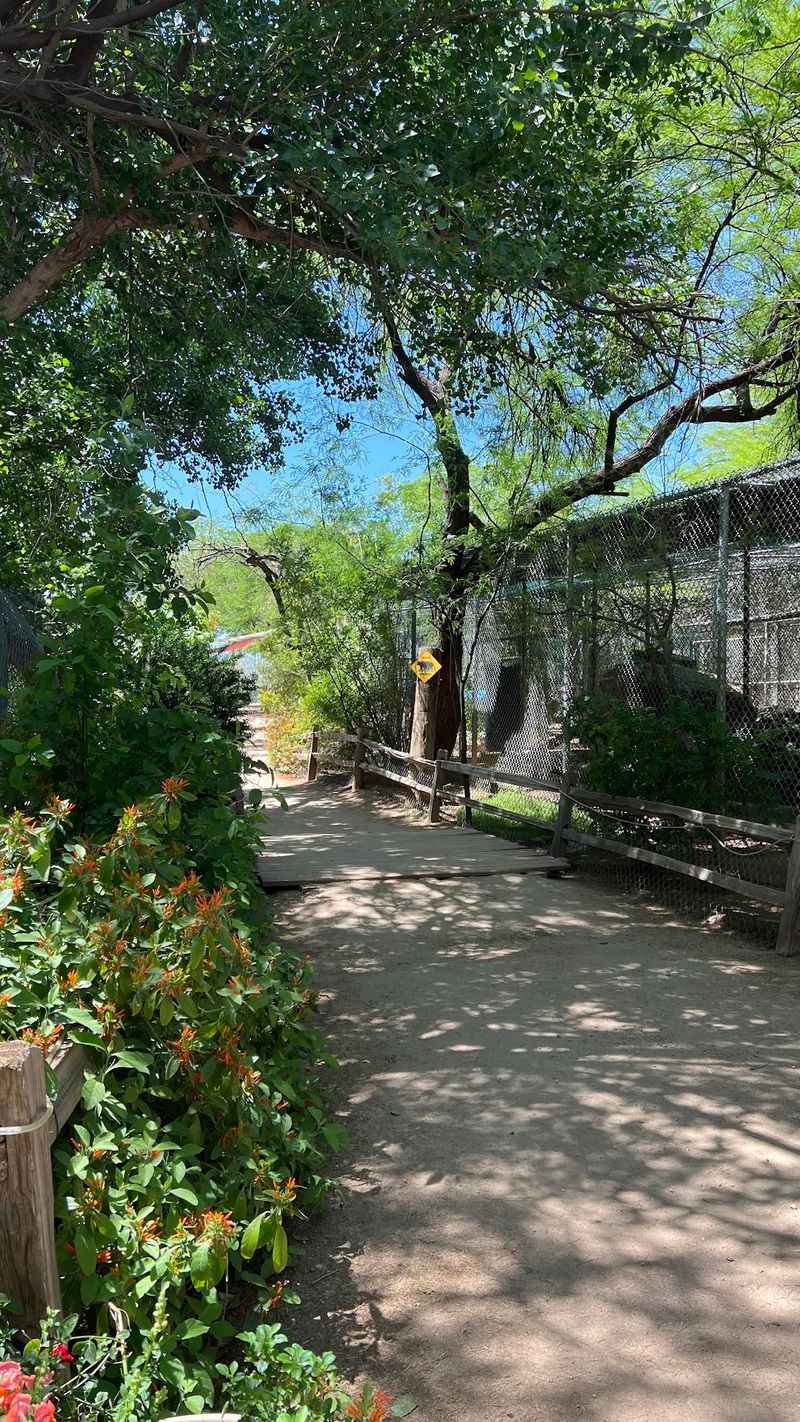 Inside The Wildlife Hospital
