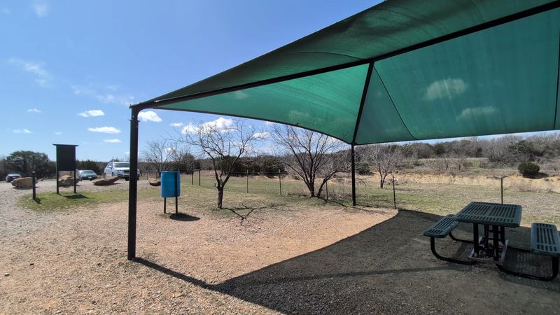 Search For 300-Million-Year-Old Fossils At This Incredible Texas Park, And Take Home What You Find - Decor Hint Shade, Snacks, And Easy Comforts
