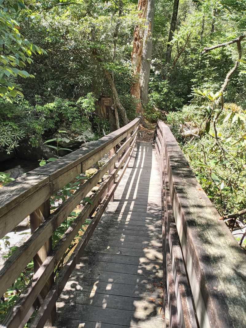 This Georgia Waterfall Hike Winds Through A Shaded Forest To Multiple Cascades - Decor Hint Packing Smart For A Remote Mountain Cove