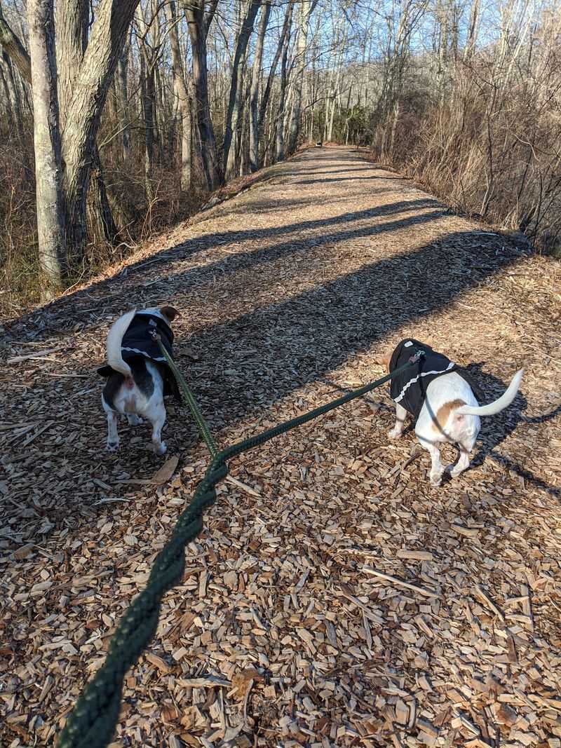 Trails Make Exploring The Landscape Easy