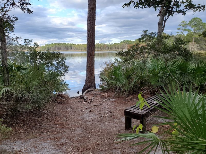 11 Florida Campgrounds So Well Secluded Even Most Residents Miss Them - Decor Hint Fred Gannon Rocky Bayou State Park, Niceville