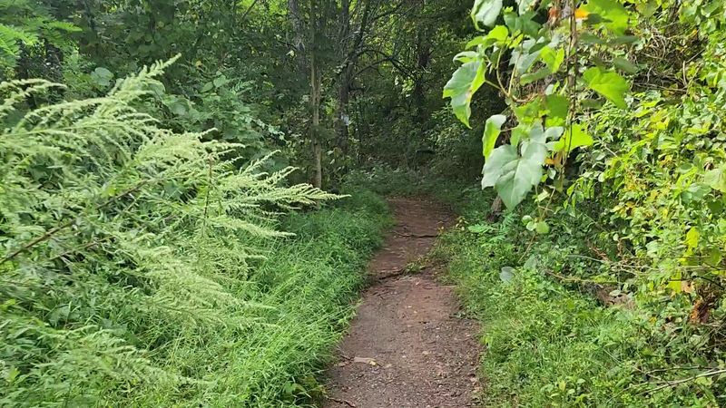 Pinnacle Rock Via Metacomet Trail, Farmington