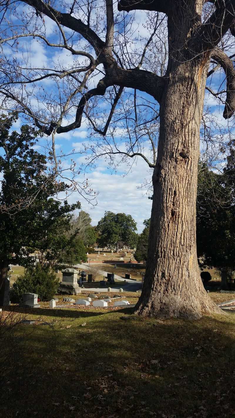 This North Carolina Cemetery Is Often Called One Of The State’s Most Beautiful - Decor Hint Guided Tours Reveal Pieces Of Raleigh History Most Visitors Never Hear About