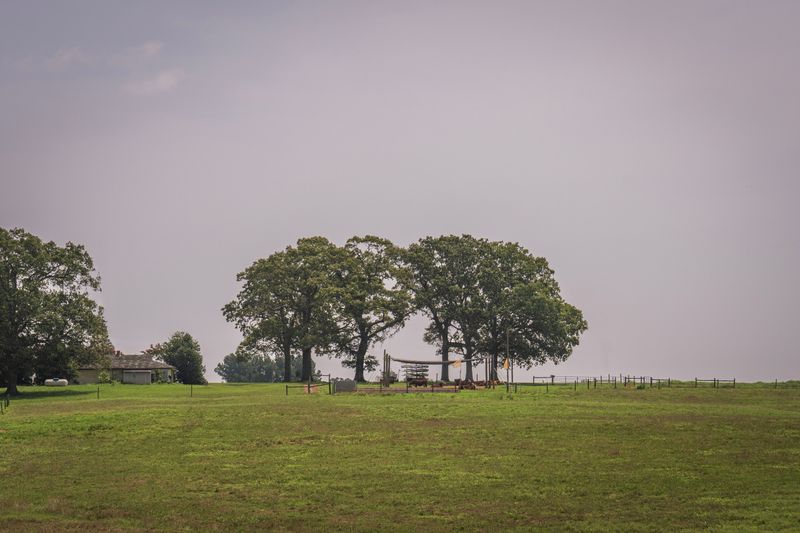 Learn Why This Community Lived More Traditionally Than North Carolina’s Other Amish Settlement