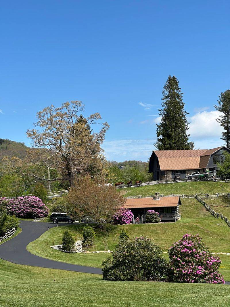 Settle Into Rustic-Luxury Cabins Surrounded By High-Country Views