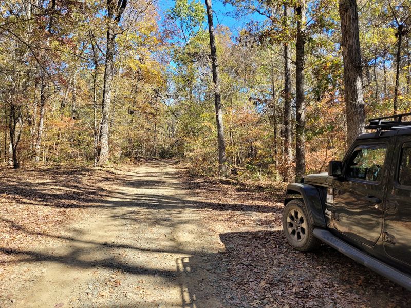 Follow A Long-Distance Trail Beneath A Canopy Turning Gold And Red